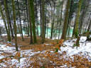 Winterparcour Bild 5
