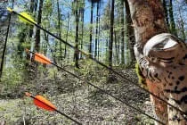 Neu-Fruehlings-Sommerparcours-2021 Neu-Fruehlings-Sommerparcours-2021