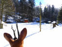 Winterparcour Bild 23