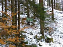 Winterparcour Bild 9