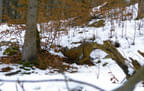 Winterparcour Bild 11