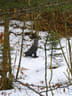 Winterparcour Bild 0