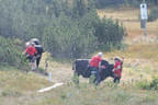 Vereinsausflug Planeralm Bild 60