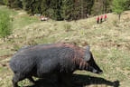 Vereinsausflug Mabow Saalfelden Bild 55