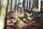 Herbst-Winter2019/20 Bild 15