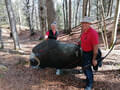 Ausflug  Scharnitz Bild 20