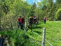 Ausflug Rauris Bild 30