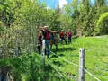 Ausflug Rauris Bild 33