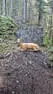 Ausflug Wenns Bild 39