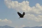 Vereinsausflug Kärnten Bild 1