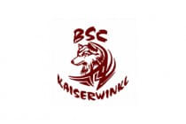 5erl-Turnier-bei-den-Finals